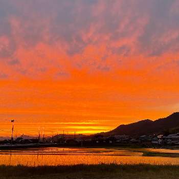 夕焼け空の投稿画像一覧 Greensnap グリーンスナップ
