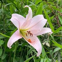 Enbqwmxhxywtcm Enbqwmxhxywtcm