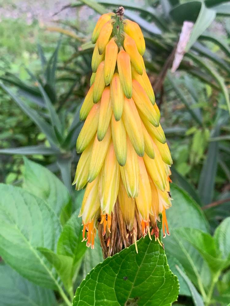 Dadfpmh61h9tr Cloudfront Net 21 06 06