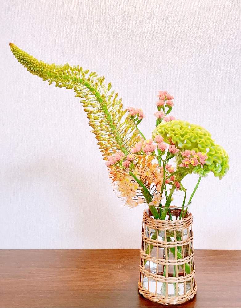 スターチスの投稿画像 By Airiさん エレムレス 砂漠の蝋燭 とケイトウとフラワーベースとボタニカルと切り花を楽しむと花のある暮らしとお花屋さんと切り花とグリーンと花瓶 21月6月6日 Greensnap グリーンスナップ