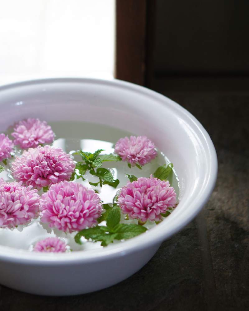 アスターの投稿画像 By Norimmekkoさん エゾギクと玄関と季節を楽しむと花と緑のある暮らしとお花を楽しむとおうち時間と花と暮らすと癒しとフローティングフラワーと季節を感じる暮らしと花を飾ると癒しの空間と花あそびと花のある暮らしと季節を楽しむと花と緑のある