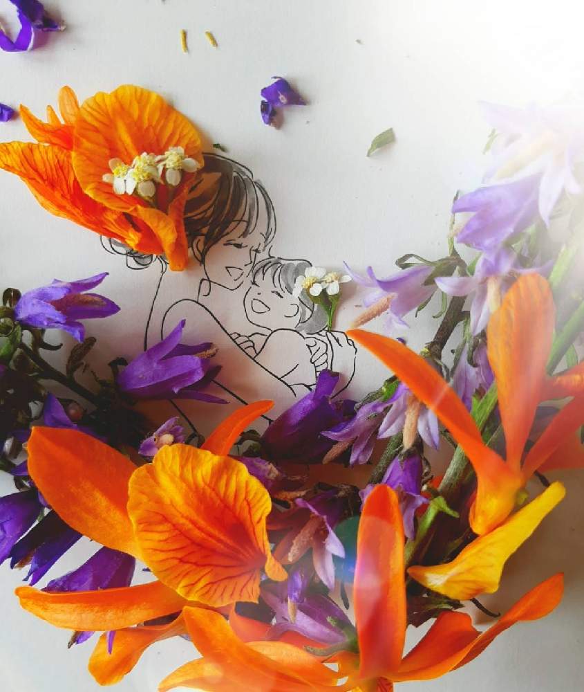 お花のドレスの投稿画像 By まりりんさん 葉菜桜花子さんのイラストに花びら乗せて作りました 21月6月7日 Greensnap グリーンスナップ
