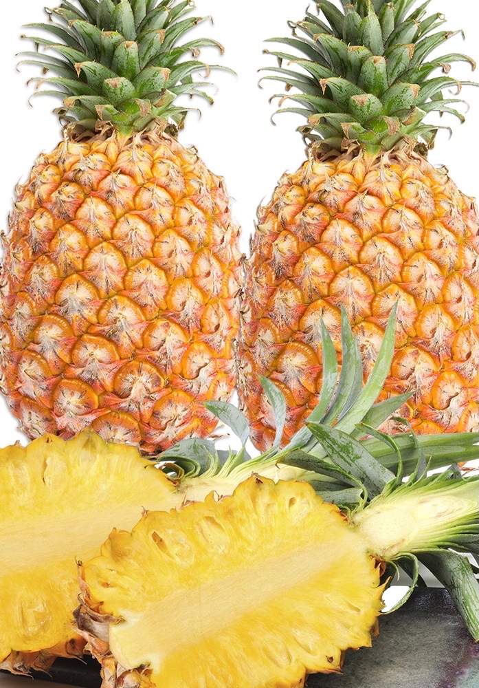 台湾パイナップル Greensnap グリーンスナップ