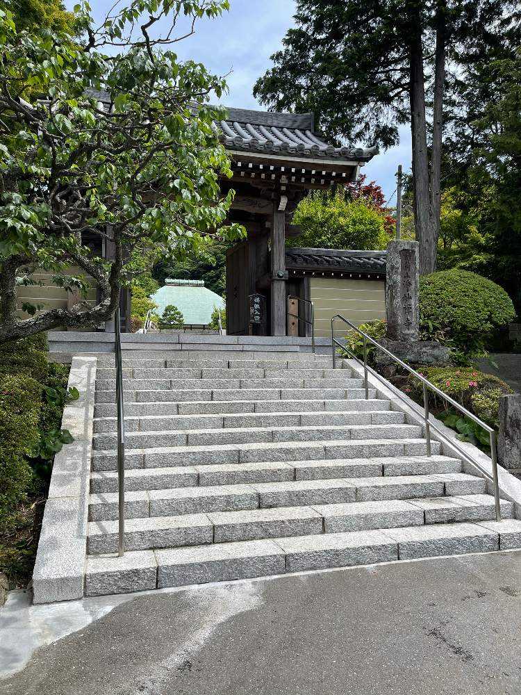 21 6 3 鎌倉 浄妙寺 石窯ガーデンテラス 杉本寺 Greensnap グリーンスナップ