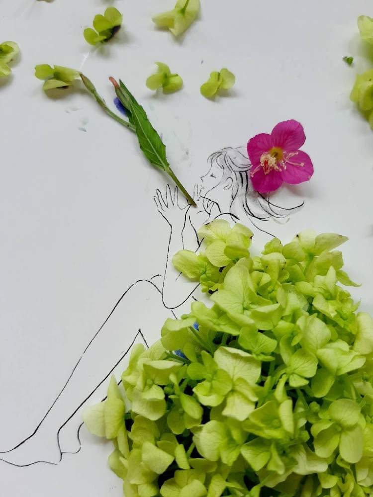 デスクの投稿画像 By まりりんさん お花のドレスと葉菜桜花子さんのイラストに花びら乗せて作りました とお花のドレスと葉菜桜花子さんのイラストに花びら乗せて作りました 21月6月9日 Greensnap グリーンスナップ Greensnap グリーンスナップ