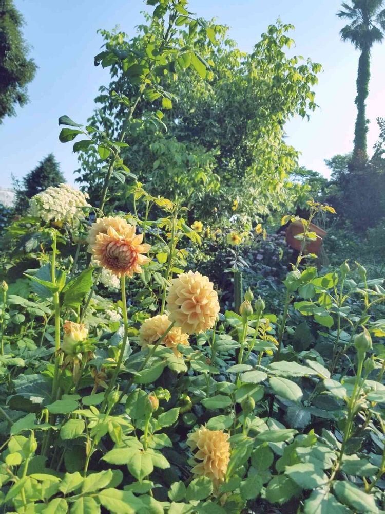 エリィさんの港の見える丘公園への投稿