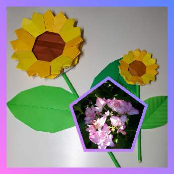 やったぁ♡の画像 by あさみんさん | 小さな庭と紫陽花　ピンキーリングと花のある暮らしと折り紙とコロナに負けるな！とやったぁ♡