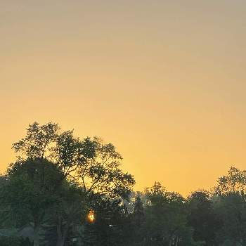朝の景色の画像 by ブルーネストさん | 朝の景色と日蝕は見えなかった