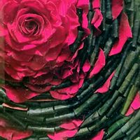 フラワーアレンジメント,プリザーブド フラワー,あか,今日のお花,ばら 薔薇 バラの画像