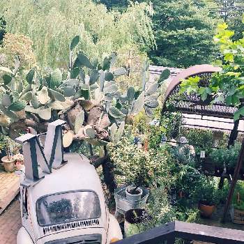 ソルソファーム 求人