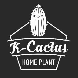 kcactus1994