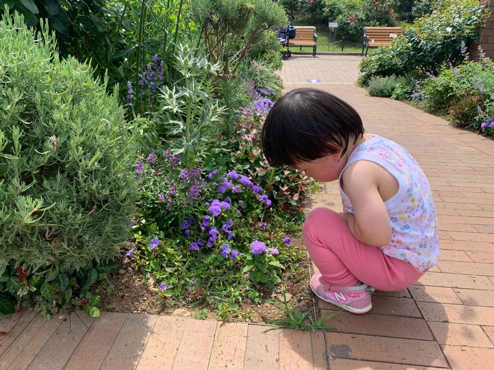 めいたんとママさんの山下公園への投稿