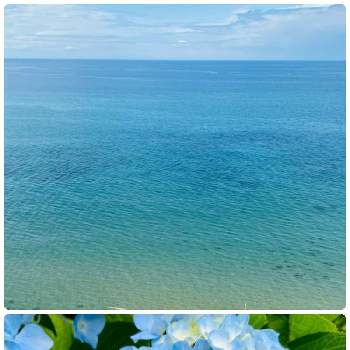 日本海の画像 by nao70＊さん | お出かけ先と気持ちいい♪と綺麗だなと水色の紫陽花と日本海とフリューブルー