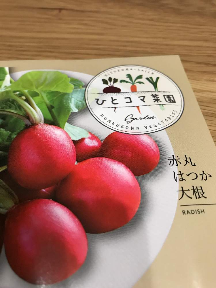 フォトモニター第2期 赤丸はつか大根 Greensnap グリーンスナップ