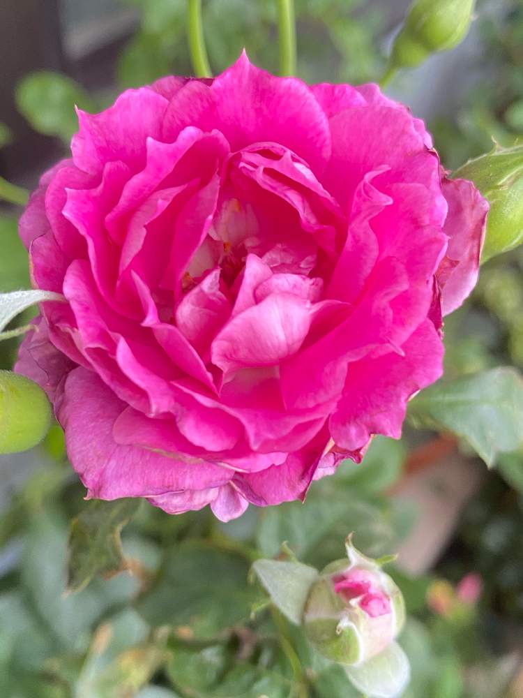 Dadfpmh61h9tr Cloudfront Net 21 06 14