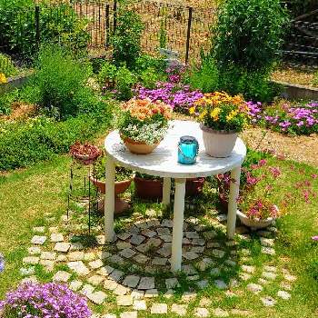 my garden2021♪花verの画像 by ☆アナベル*･゜ﾟ♡↝さん | 小さな庭と癒しとmy garden2021♪花verと６月の庭とマイガーデンとピンク❤︎ピンクとおうち園芸と好きな季節と可愛いとPWもりもり自慢2021と青空