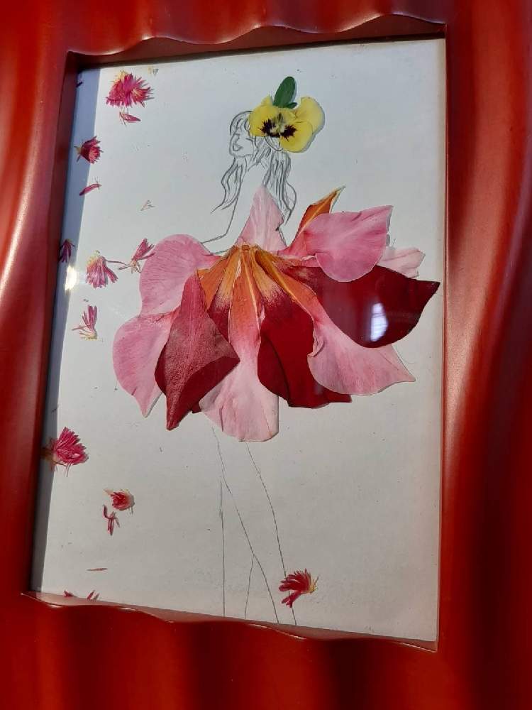 お花のドレスの投稿画像 By まりりんさん おうち園芸と葉菜桜花子さんのイラストに花びら乗せて作りました 21月6月15日 Greensnap グリーンスナップ