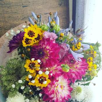 今日の花束の画像 by 花職人工房さん | 部屋とアガパンサスとスカビオサとダリアと春車菊と切り花と今日の切り花と花の贈り物と今日の花束