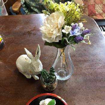 あずきの画像 by のんのんさん | 部屋とバラとミントとウサギさんとあずきと抹茶玉とさくらんぼ
