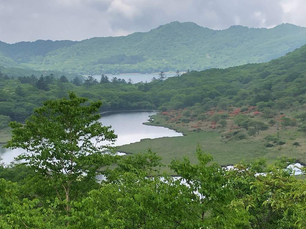赤城山 ツツジの道 大沼 覚満渕 鳥居峠 群馬の山散策 2 Greensnap グリーンスナップ 赤城山 ツツジの道 大沼 覚満渕 鳥居峠 群馬の山散策 2 Greensnap グリーンスナップ