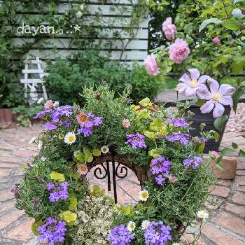 ハンギングリースの投稿画像一覧 Greensnap グリーンスナップ