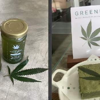 大麻草の投稿画像一覧 Greensnap グリーンスナップ