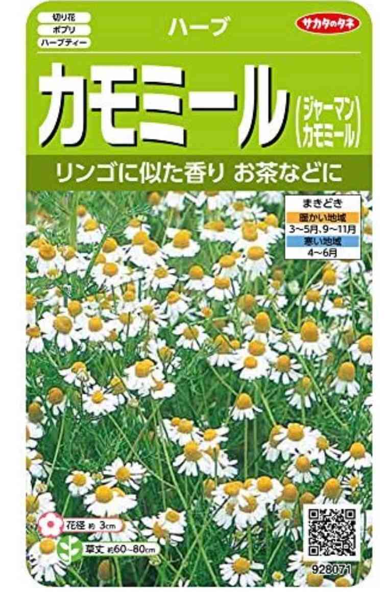 ◆カモミール(・¨ (●)様リクエスト4点ページ ジャーマンカモミール｜🍀GreenSnap（グリーンスナップ）