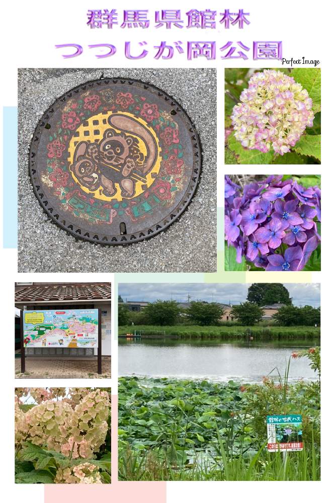 お出かけ先の投稿画像 By Minmindoさん 癒やしと花散歩と蓮の葉 と館林つつじヶ岡公園と撮影は先日と紫陽花 アジサイ あじさいと朝散歩と癒やしと花散歩と蓮の葉 と館林つつじヶ岡公園と撮影は先日と紫陽花 アジサイ あじさいと朝散歩 21月6月21日 Greensnap お出かけ先の投稿画像 By Minmindoさん 癒やしと花散歩と蓮の葉 と館林つつじヶ岡公園と撮影は先日と紫陽花 アジサイ あじさいと朝散歩と癒やしと花散歩と蓮の葉 と館林つつじヶ岡公園と撮影は先日と紫陽花 アジサイ あじさいと朝散歩 21月6月21日 Greensnap
