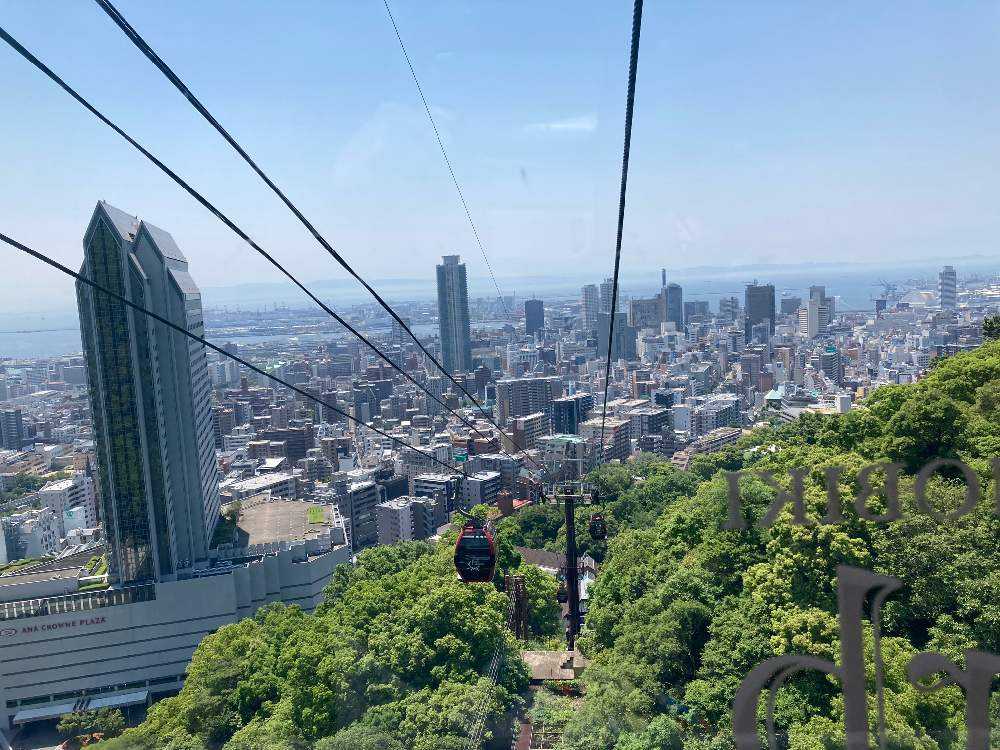 神戸布引ハーブ園 ラベンダー編 Greensnap グリーンスナップ