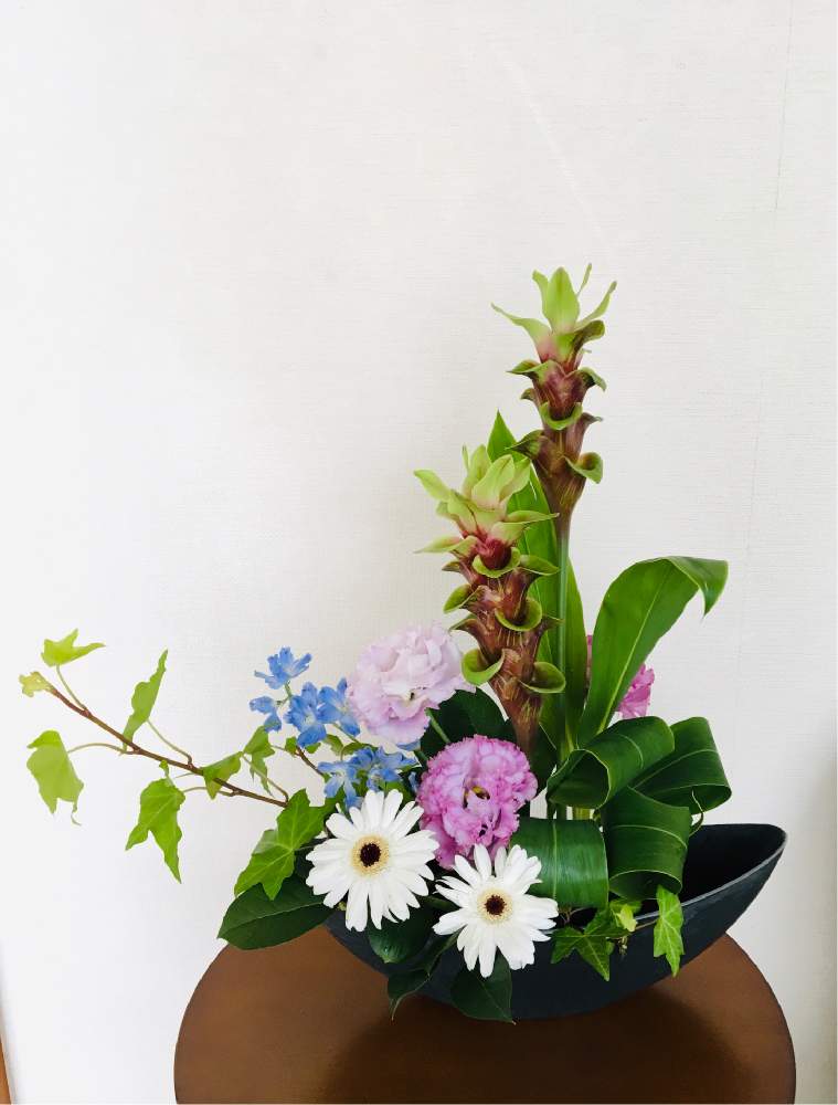 クルクマの投稿画像 By うたさん フラワーアレンジメントと花のある暮らしと楽しみと癒しの花 21月6月22日 Greensnap グリーンスナップ