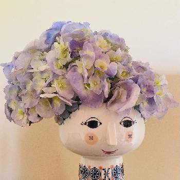 なんて可愛いのかしらの画像 by green39さん | キッチンと幸せな時間を過ごしてほしいと紫陽花だよ〜となんて可愛いのかしらと青紫の花と我が家のガッキー