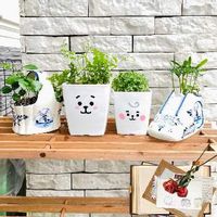 セラギネラの育て方 水やりや日当たりの加減は Greensnap グリーンスナップ セラギネラの育て方 水やりや日当たりの加減は Greensnap グリーンスナップ