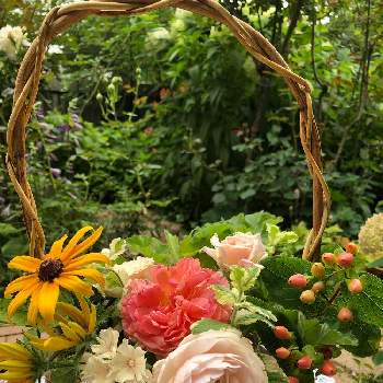 バスケットアレンジメントの画像 by Rikasgardenさん | 小さな庭とヒペリカムとローズゼラニウムとパイナップルミントとヘリテージとフロックス クリームブリュレとバラ かおりかざりとバラ シュシュとルドベキアと花のある空間と薔薇愛同盟とバスケットアレンジメントとおうち園芸とミニアレンジとハーブとはなあそびと花のある暮らしとばら 薔薇 バラ