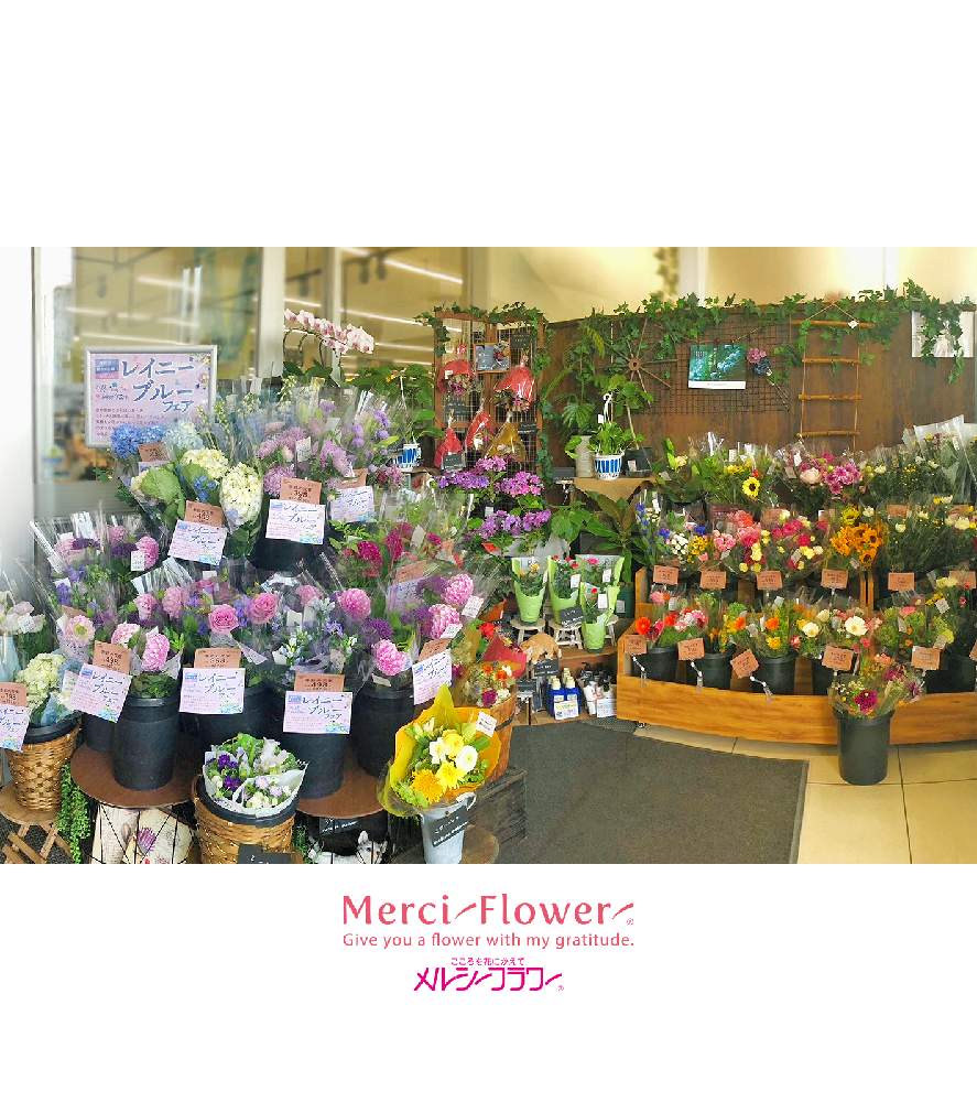 花のある空間の投稿画像 By メルシーフラワーさん スーパーマーケットの花とスーパーの花屋さんと癒しとお花女子と花を飾るとスーパー の切花とハナカジとメルシーフラワーと素敵な出会いと花のある暮らしとこころを花にかえてと花のある空間とスーパーマーケットの花と