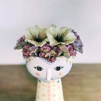 ペチュニア カプチーノの投稿画像一覧 Greensnap グリーンスナップ