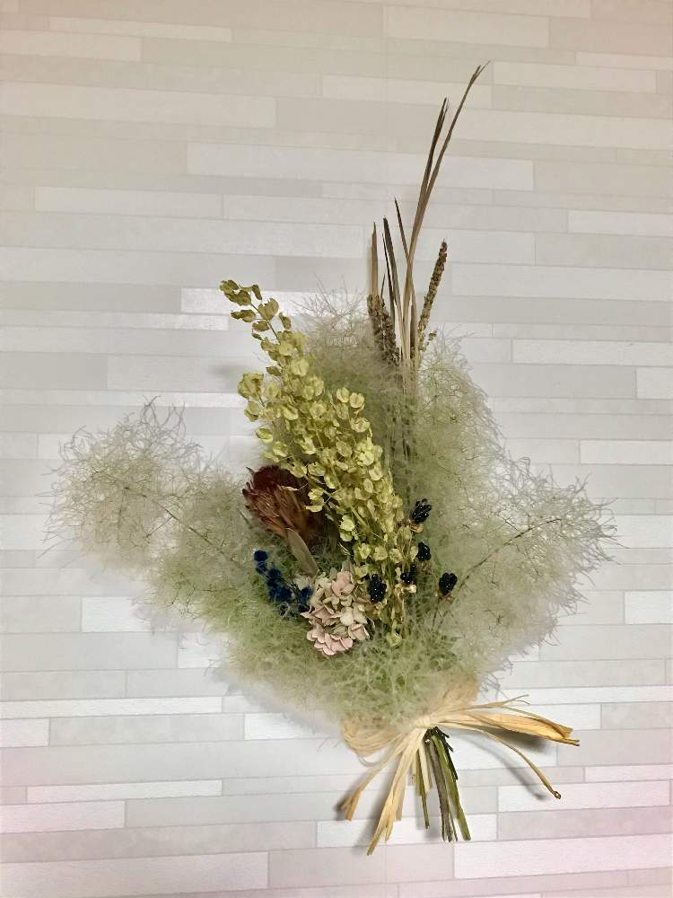 スモークツリーの投稿画像 By ブラックベリーさん ドライフラワーとスモークツリー スワッグとスワッグ 21月6月24日 Greensnap グリーンスナップ