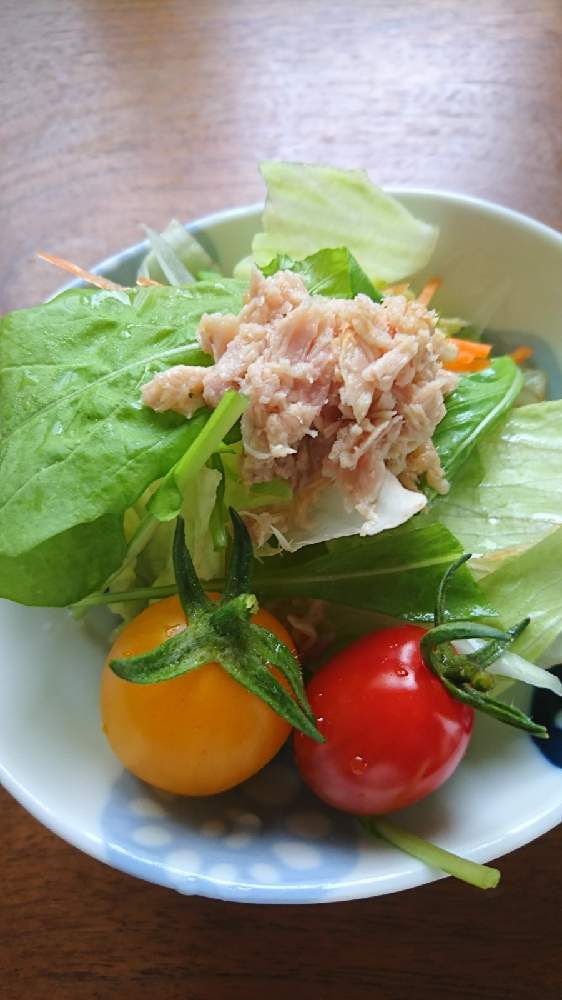 サントリー本気野菜 純あま ミニトマト の投稿画像 By Blue Greenさん おうちde菜園とオーガニックとおいしいと収穫とプランター栽培 21月6月27日 Greensnap グリーンスナップ