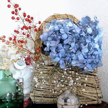 シリカゲルの画像 by c_demiさん | インテリアと紫陽花と大きい花とドライフラワーとシリカゲルとはなはなと雑貨とハンドメイドと自家製ドライフラワー