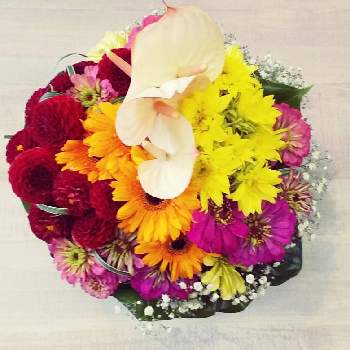 今日の花束の画像 by 花職人工房さん | 部屋とガーベラとジニアとポンポン咲きダリアとひまわり(モネのひまわり)とアンスリウム マキシマとフラワーアレンジメントとフラワーギフトと花の贈り物と今日の花束