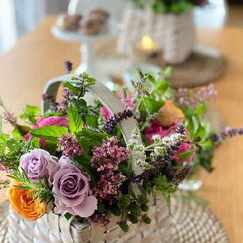 パニエの投稿画像一覧 Greensnap グリーンスナップ