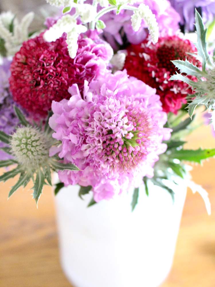 スカビオサの投稿画像 By Kaneyukiさん キッチンと切り花と花束と花のある暮らしと切り花と花束と花のある暮らし 21月6月28日 Greensnap グリーンスナップ Greensnap グリーンスナップ