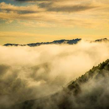雲海の画像 by ひろさんさん | お出かけ先と雲海と雲仲間と野迫川村と荒神社