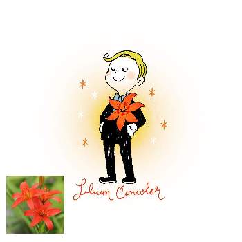 ヒメユリの投稿画像一覧 Greensnap グリーンスナップ