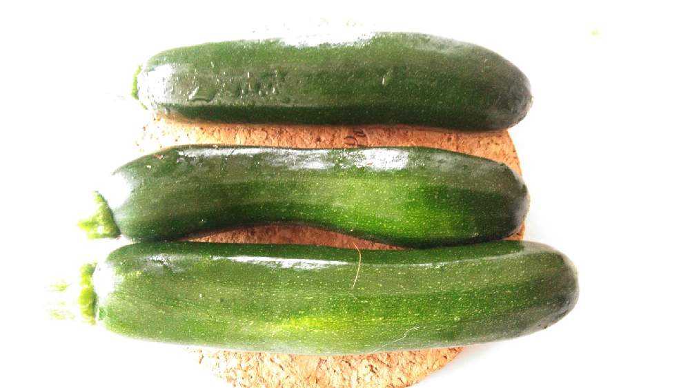 ダイソーの種 ズッキーニ ２ 7月6日 火 追記 Greensnap グリーンスナップ