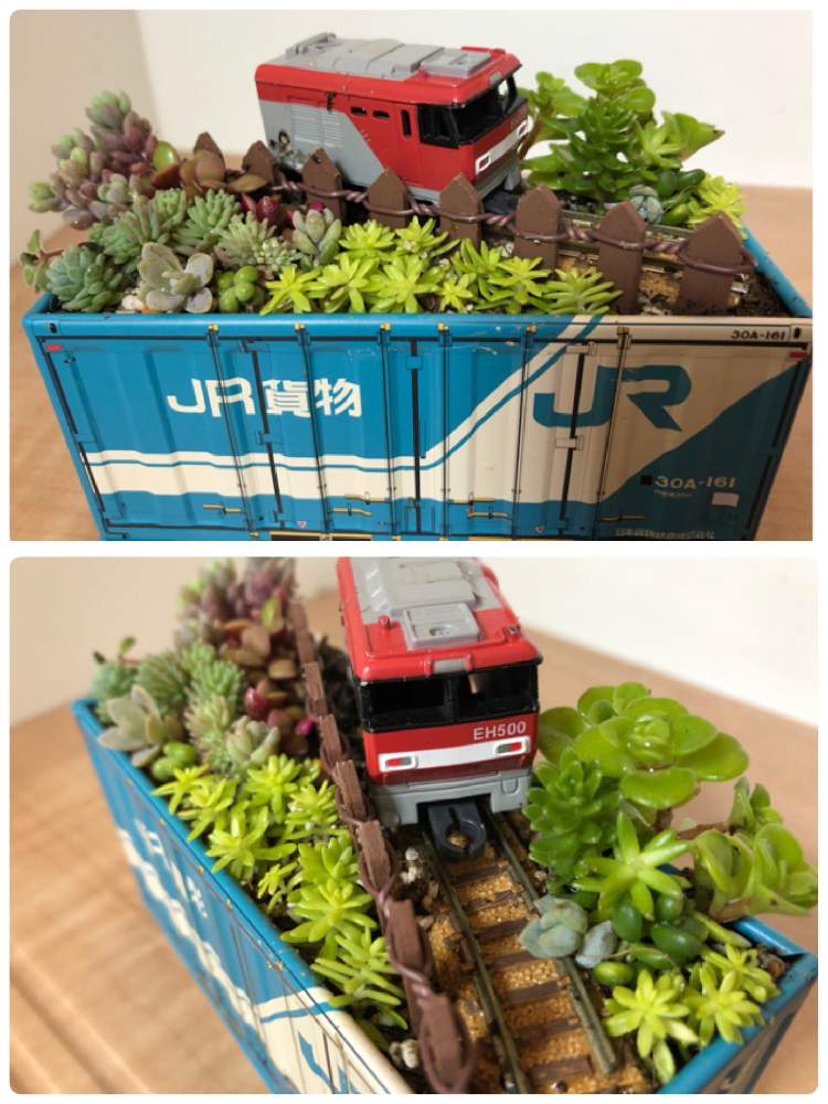 玄関の投稿画像 By 曜さん 多肉植物と 桜吹雪とセダム大好きと寄せ植えとチマチマ寄せ植えとおうち園芸とセダム寄植えと多肉初心者と多肉植物と 桜吹雪とセダム大好きと寄せ植えとチマチマ寄せ植えとおうち園芸とセダム寄植えと多肉初心者 21月7月1日 Greensnap 玄関の投稿画像 By 曜さん 多肉植物と 桜吹雪とセダム大好きと寄せ植えとチマチマ寄せ植えとおうち園芸とセダム寄植えと多肉初心者と多肉植物と 桜吹雪とセダム大好きと寄せ植えとチマチマ寄せ植えとおうち園芸とセダム寄植えと多肉初心者 21月7月1日 Greensnap