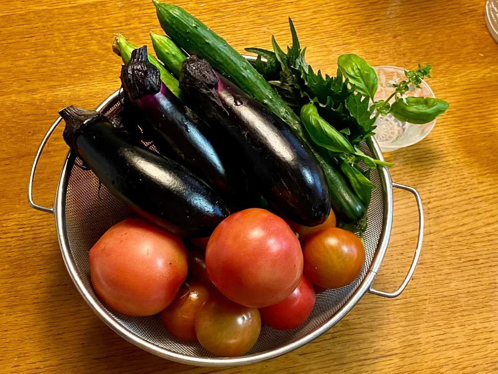 収穫の投稿画像 By まっこさん 自家製野菜と夏野菜と市民農園 21月7月1日 Greensnap グリーンスナップ