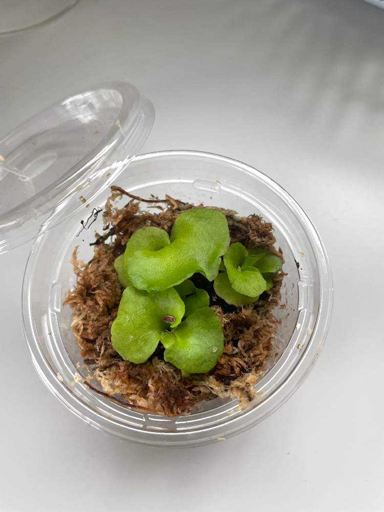 1625190742203_thum_785242_phot