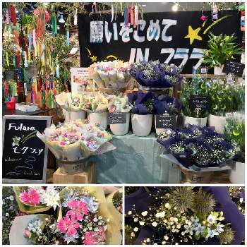 カインズ茂原店の投稿画像一覧 Greensnap グリーンスナップ