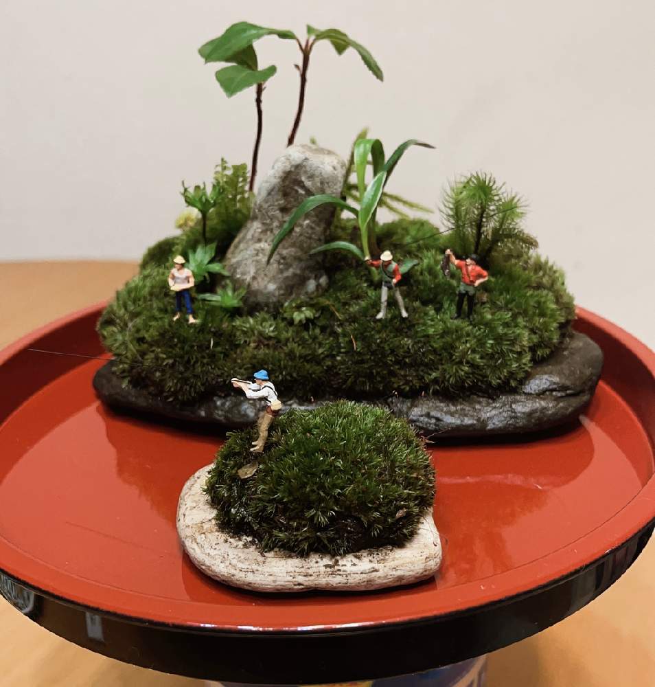 苔リウムの投稿画像 By なつこさん ミニチュアとこけと苔玉と人形と盆栽と苔盆栽 21月7月2日 Greensnap グリーンスナップ