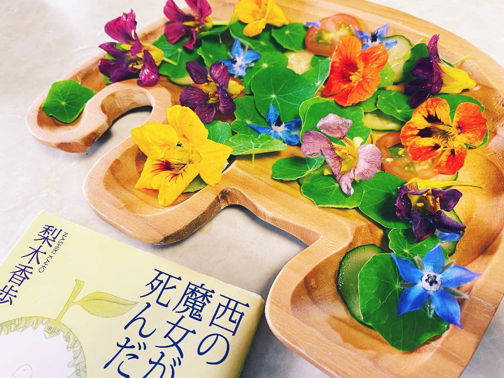 ナスタチウムの投稿画像 By Nyakiさん キンレンカとミニトマトときゅうりと開花と自家栽培のきゅうりとミニトマト と キンレンカと子どもと楽しむガーデニングと夏のお花と夏の花と 食べられるお花とナスタチウム と可愛い とエディブル フラワーと可愛いとかわい